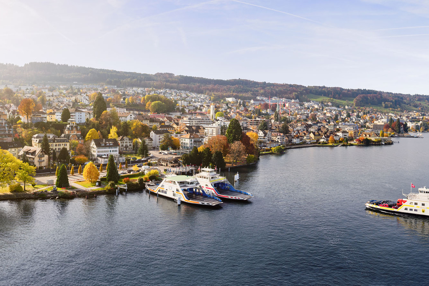 Panoramablick auf Horgen am Zürichsee